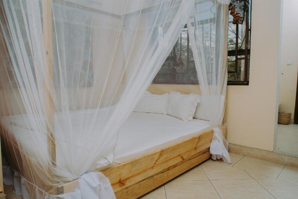 White House of Tanzania image 18