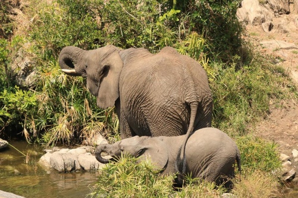 White House of Tanzania image 25